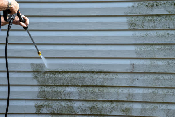 Best Hoarding Cleanup  in Milan, TN